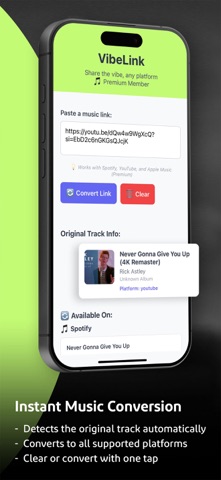 VibeLink App Screenshot 3 of 6