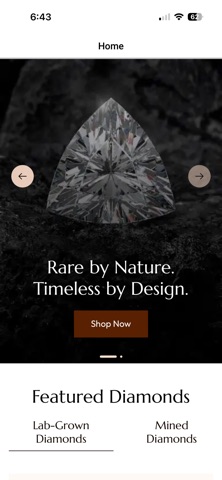 Bhimani & Co Screenshot 1 of 7