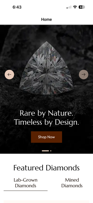 Bhimani & Co Screenshot 1 of 7