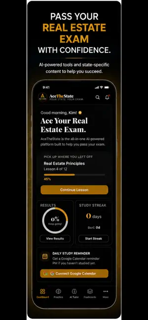 Ace The State screenshot 1
