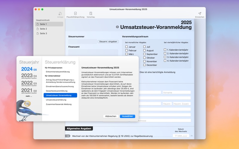 Steuererklärung Screenshot