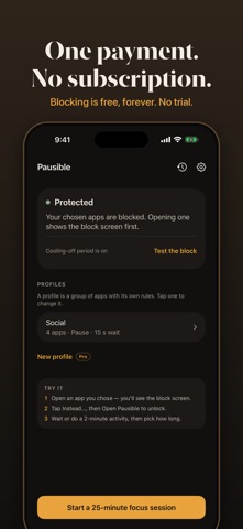 Pausible: Screen Time & Focus iPhone screenshot