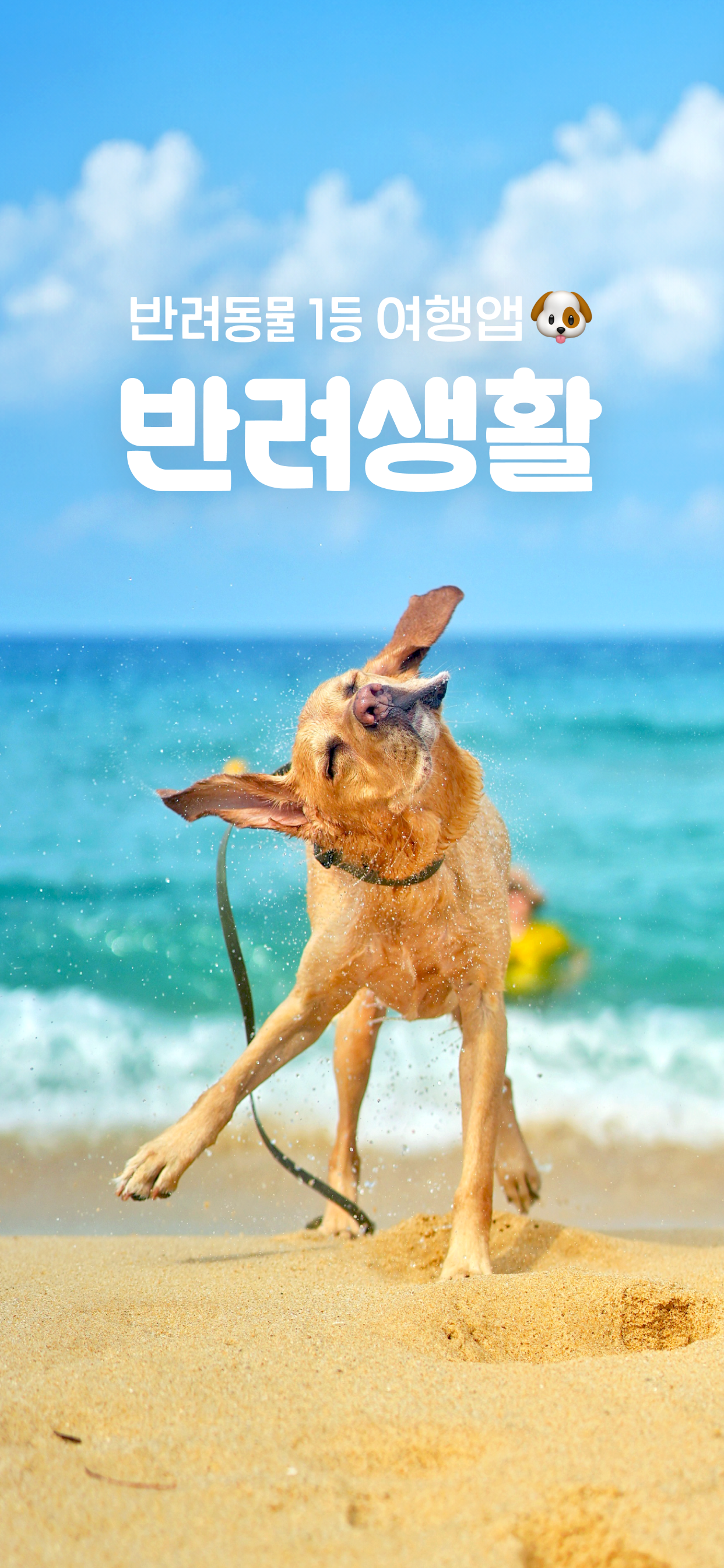 반려생활 - 반려동물 1등 여행앱