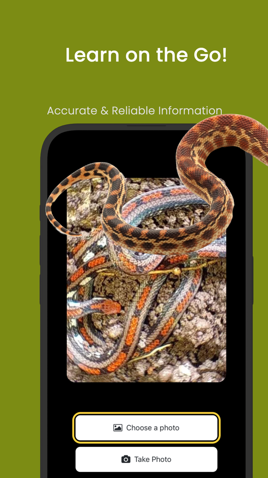 #2. Snake ID - reptile identifier (iOS) 来自: Pibardos LLC