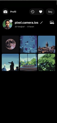 Pixel Camera (0.004MP) screenshot