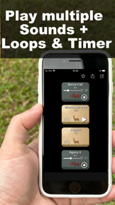 Rehbock Companion screenshot