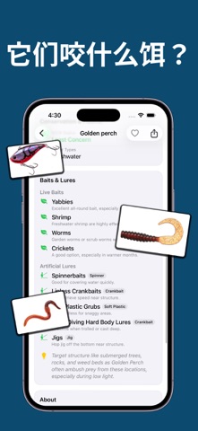 钓鱼点地图: WikiCatch screenshot