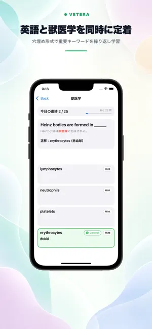 Vetera screenshot 3