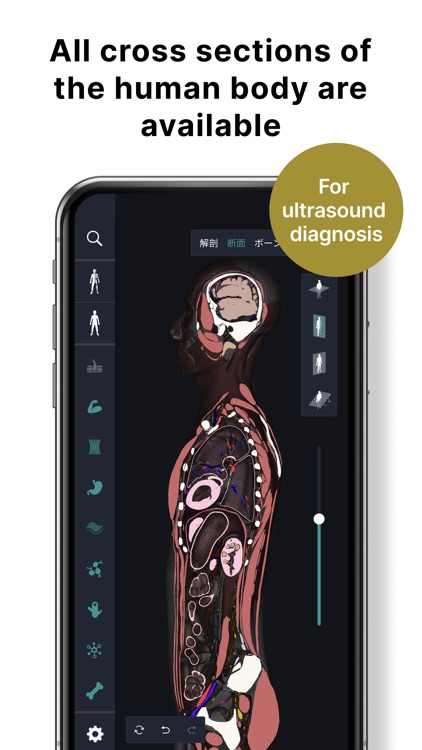 teamLab Body Pro 3d anatomy