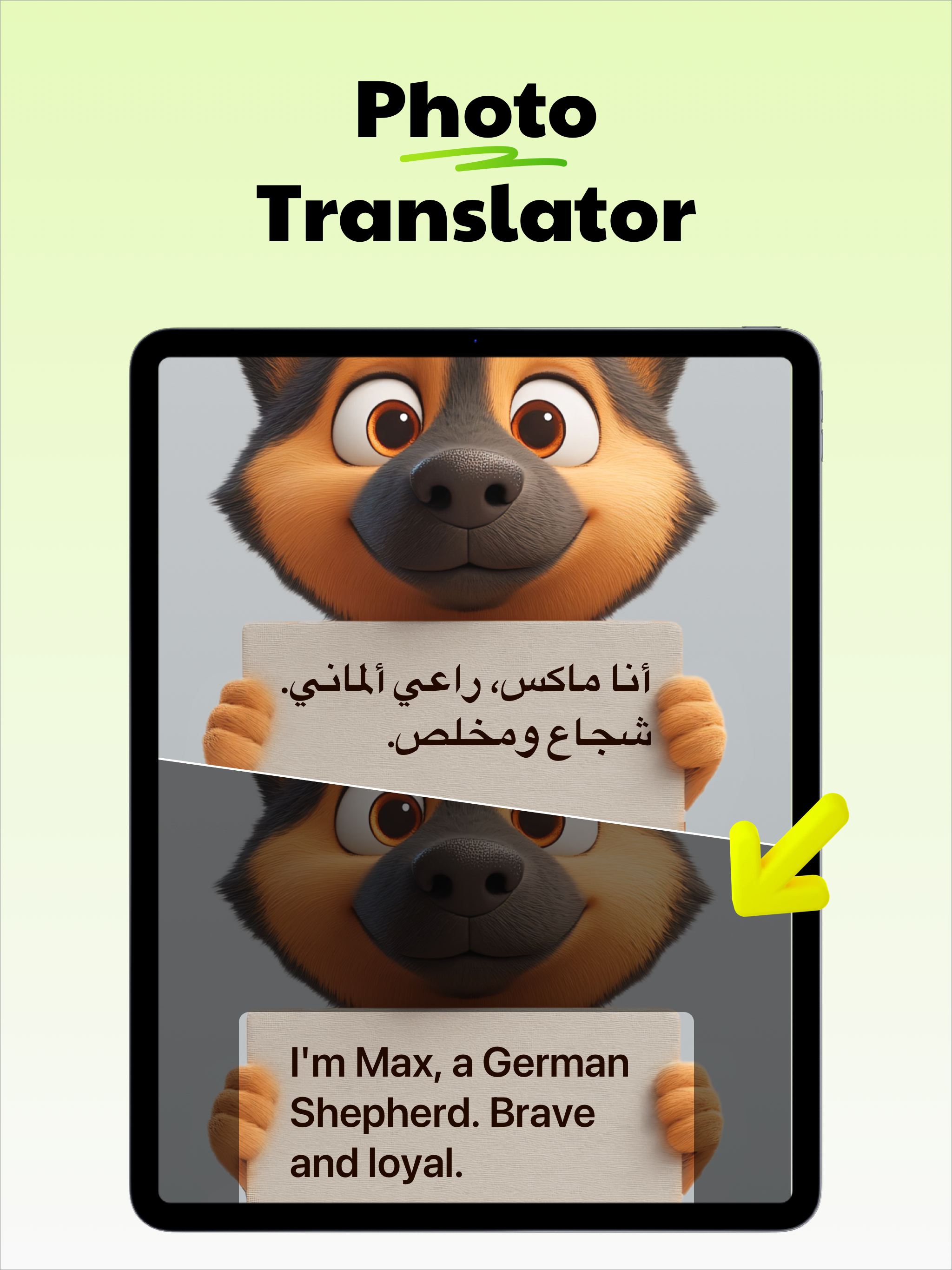 LingoPop: AI Translator& Voice