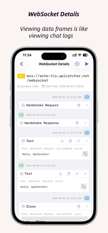 ApiCatcher - HTTP抓包工具 screenshot