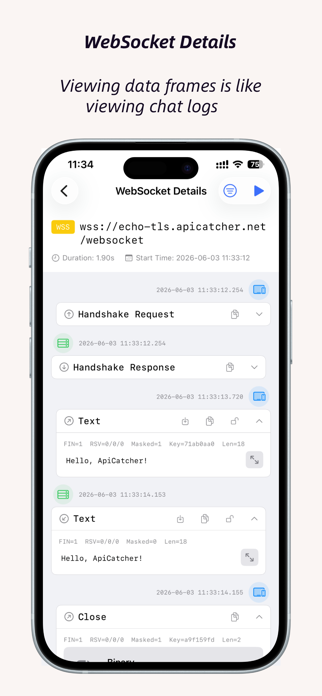 ApiCatcher - Capture HTTPS Screenshot 4 of 10