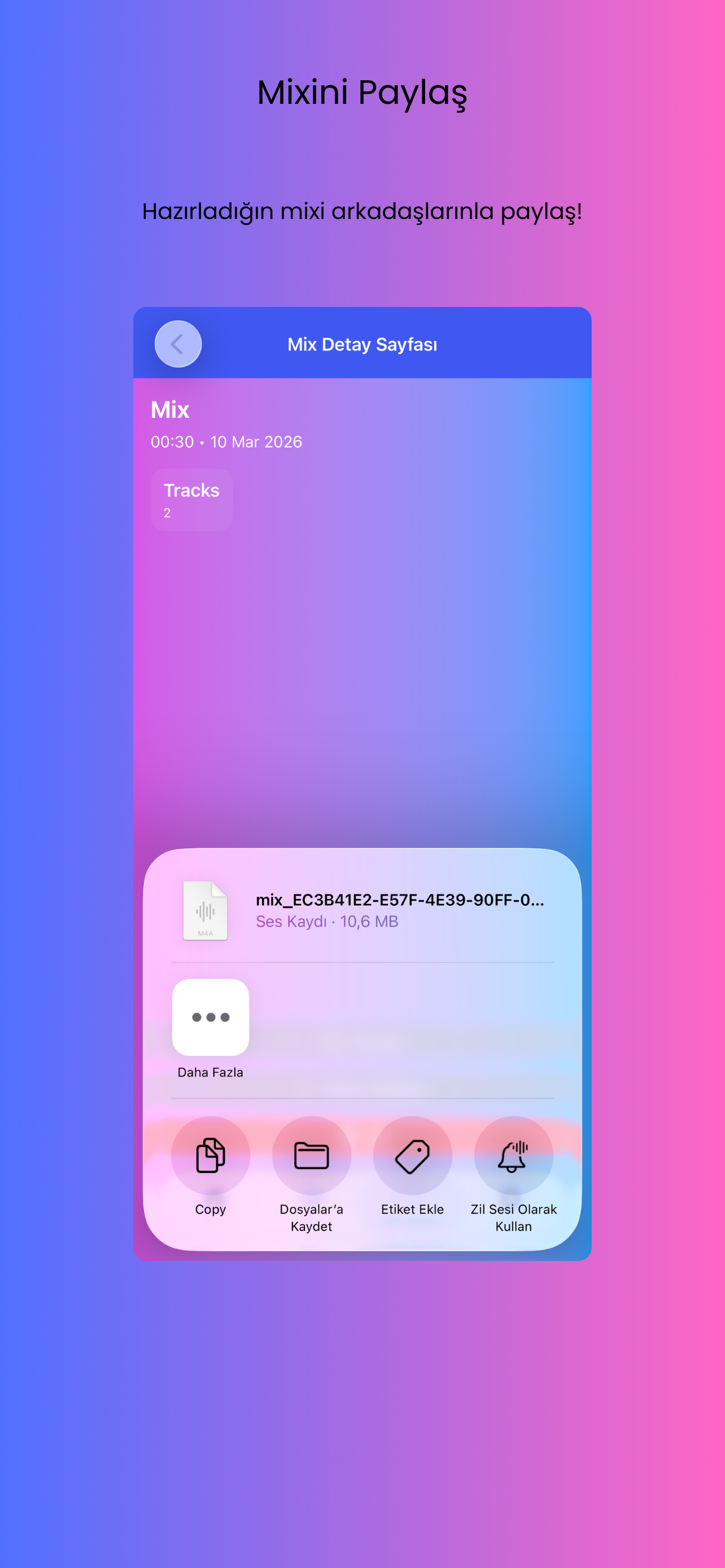 Mixly