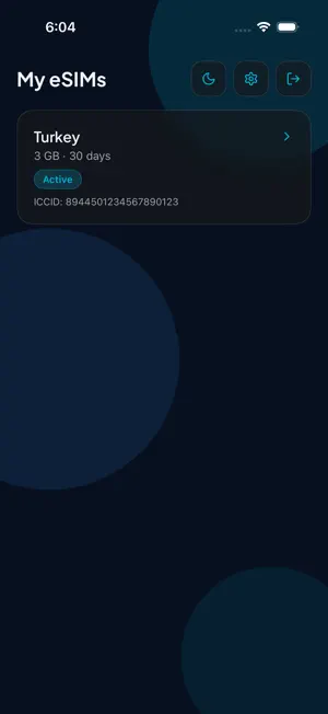 PingRoam: eSIM & Tickets screenshot 4