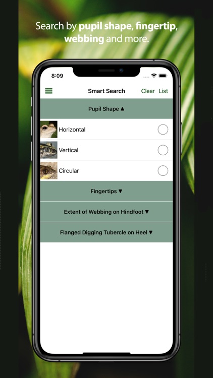 Frogs of Southern Africa screenshot-5