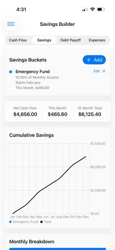 Cash Flow Tool screenshot 1