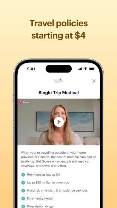 Goose Insurance screenshot