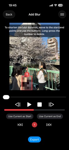 Bystander Video Blur screenshot