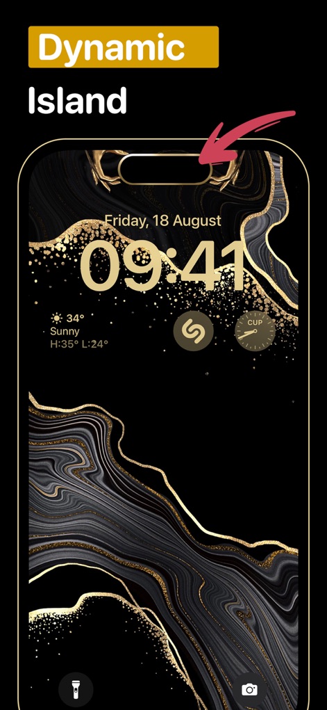 WallpX iPhone Wallpapers 17 4K - Users can experience wallpapers specifically designed for the Dynamic Island, as shown with a stylish black and gold abstract marbled background.