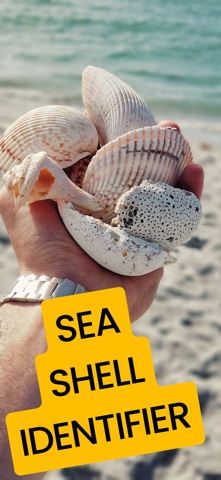 Sea Shell Identifier: Ocelexia screenshot