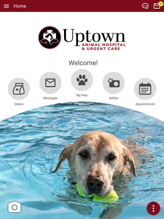 Screenshot #4 pour Uptown Vet