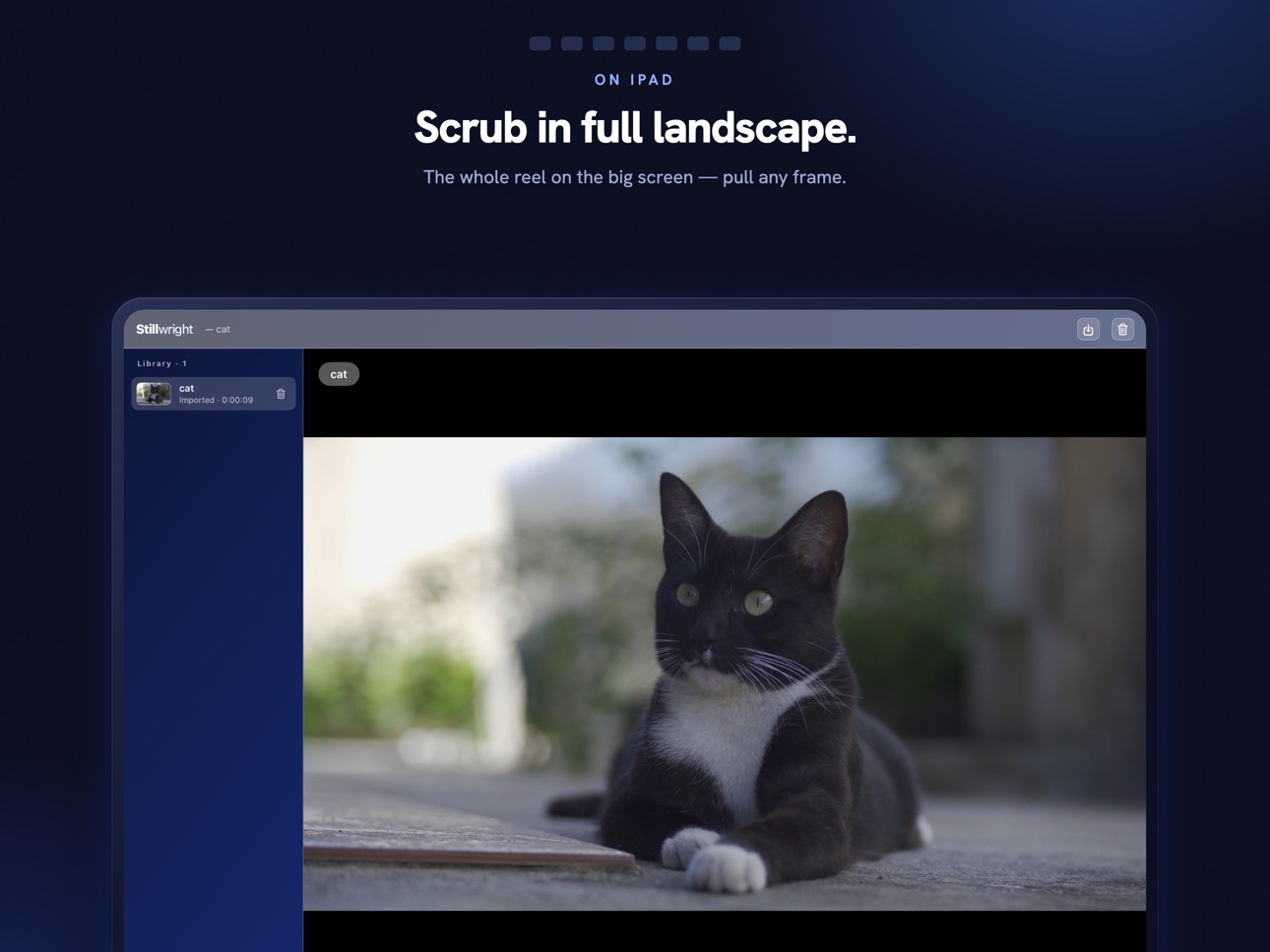 Screenshot 5 of Stillwright