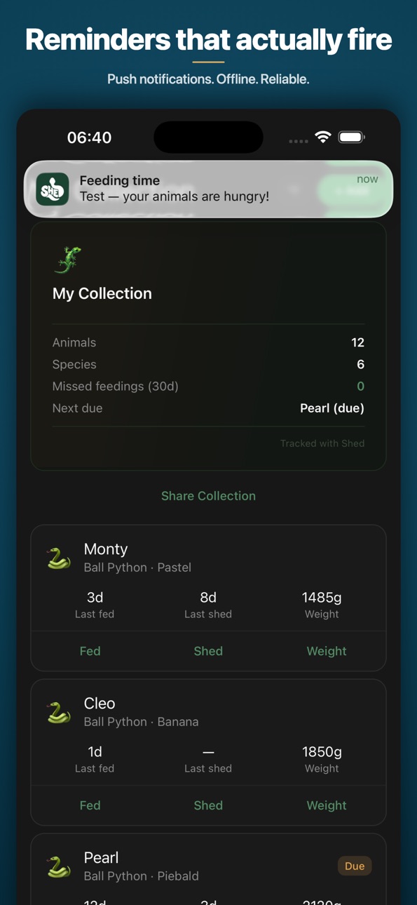 iPhone screenshot