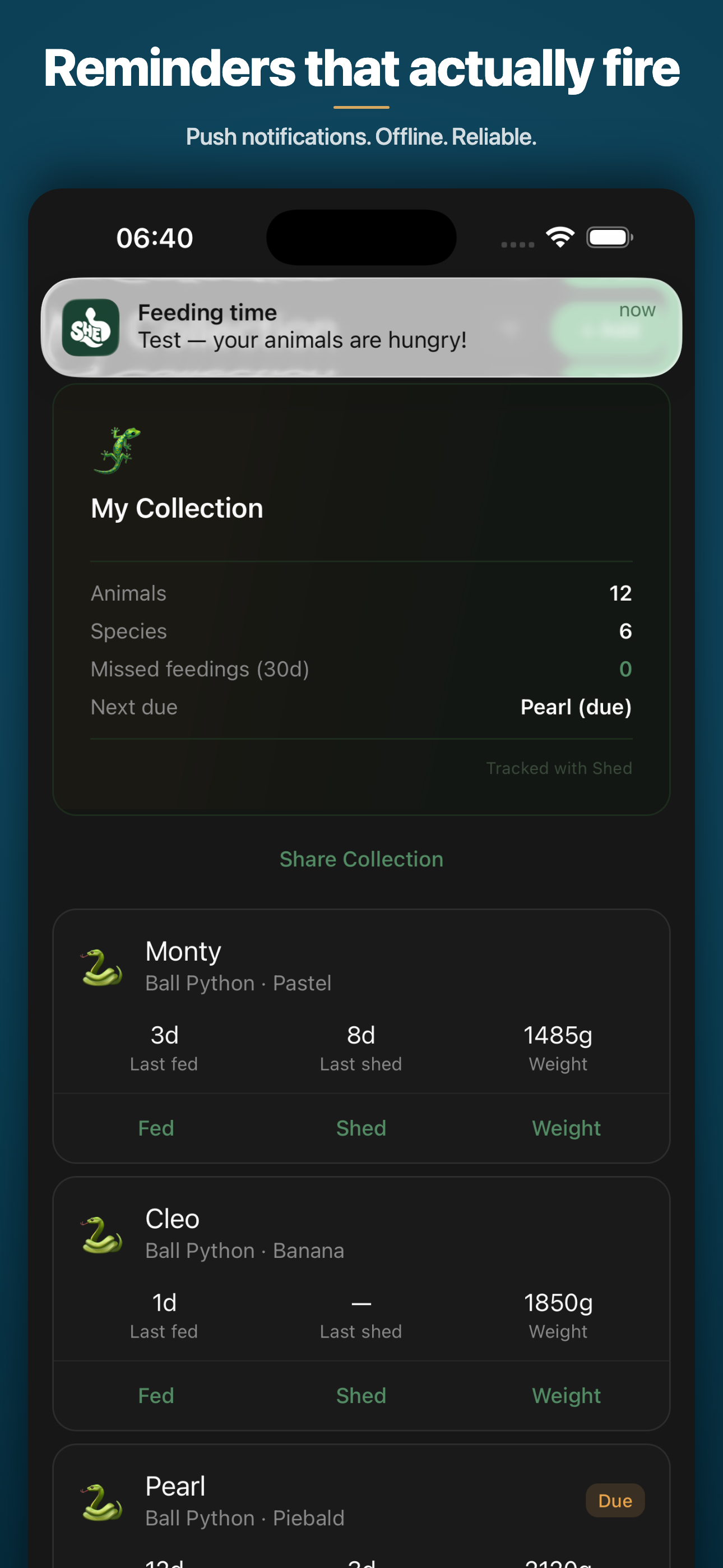 Shed: Reptile Feeding Tracker