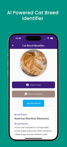 Cat Identifier scanner - Catzy Screenshot 1 of 4
