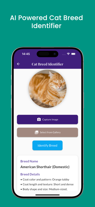 Cat Identifier scanner - Catzy Screenshot 1 of 4