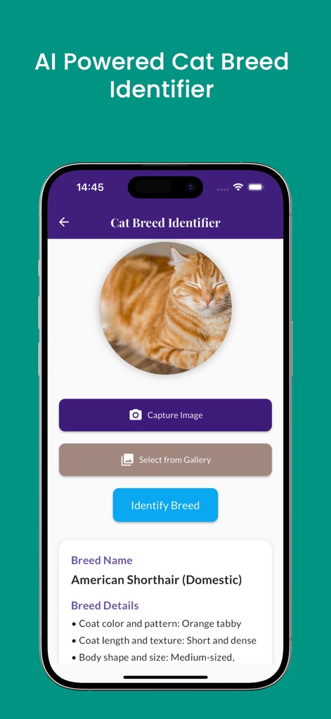 Cat Identifier scanner - Catzy - Lifestyle App | MWM