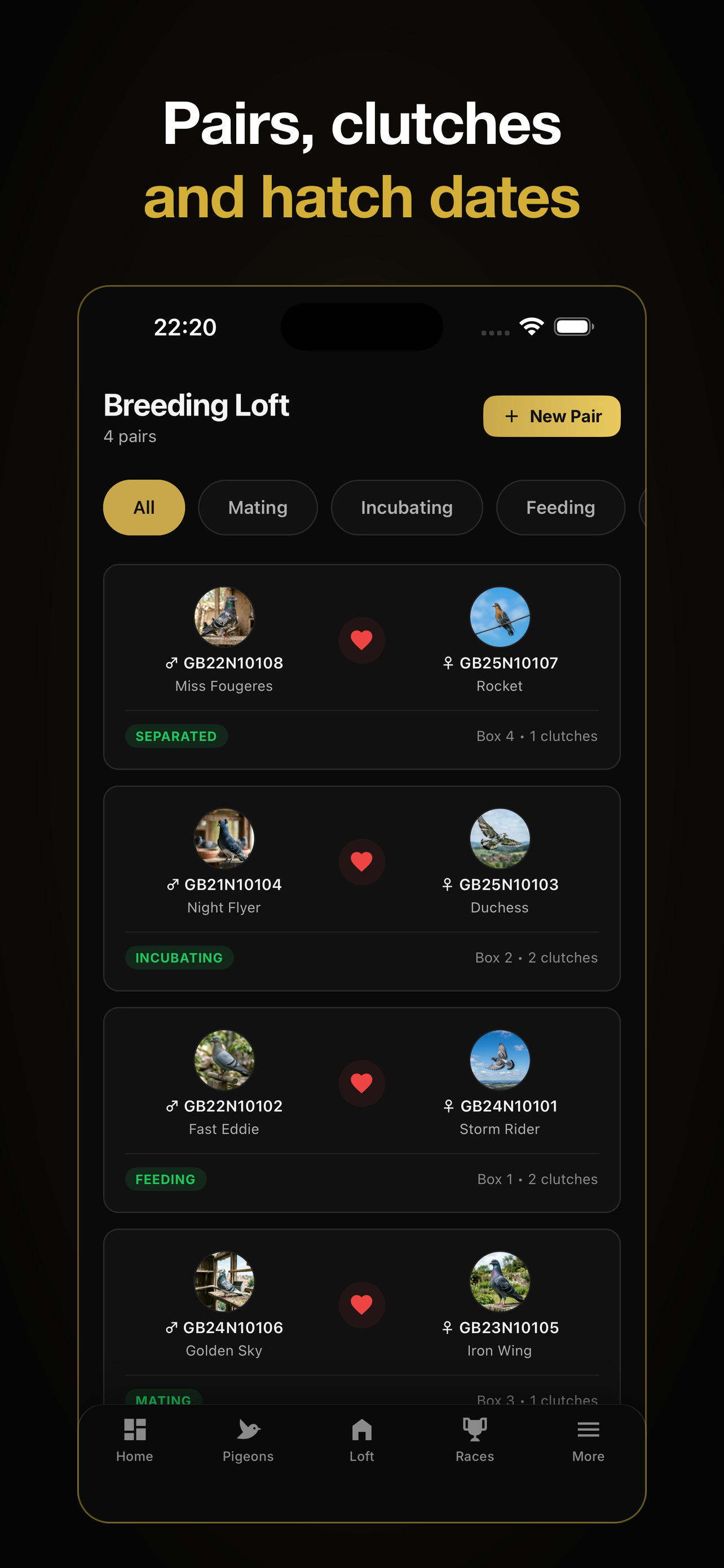 PigeonPro screenshot 2