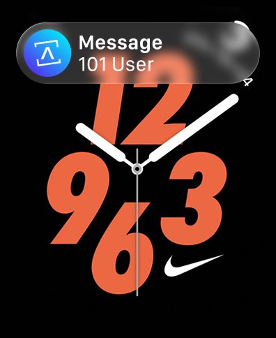 Axio Softphone screenshot 14