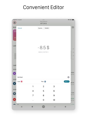 Finance Monthly Budget Planner iPad screenshot