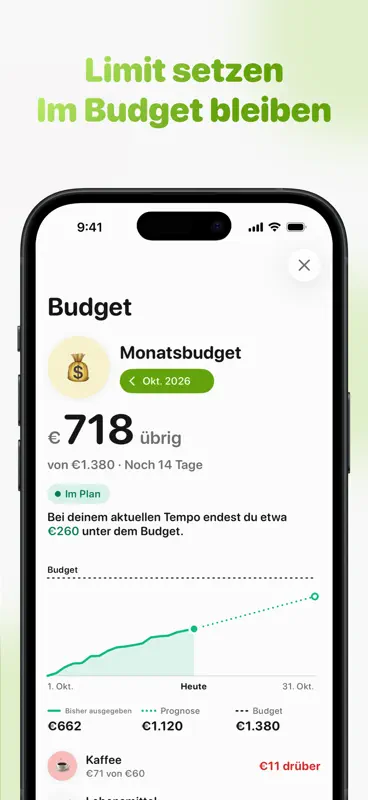 Ausgaben-Tracker: Tally screenshot 5 of 6