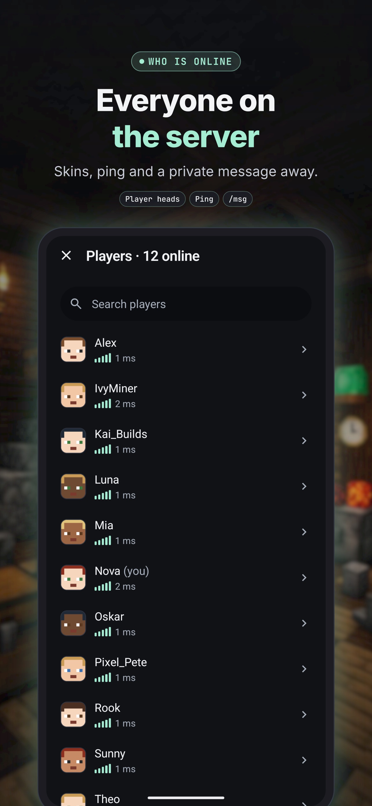 Screenshot 3 of Chatstone: Server Chat