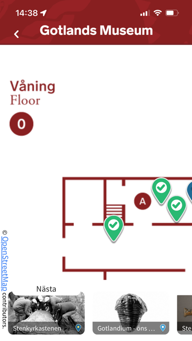 Gotlands Museum Screenshot