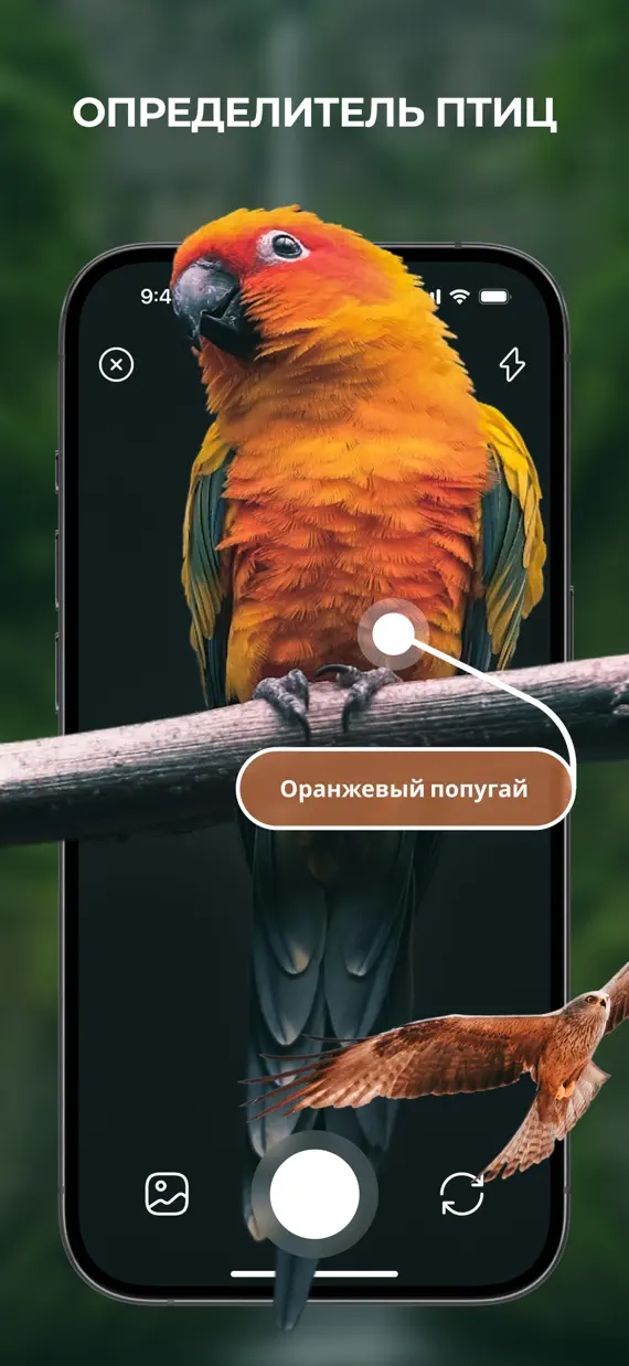 Bird Identifier & Guide screenshot 1