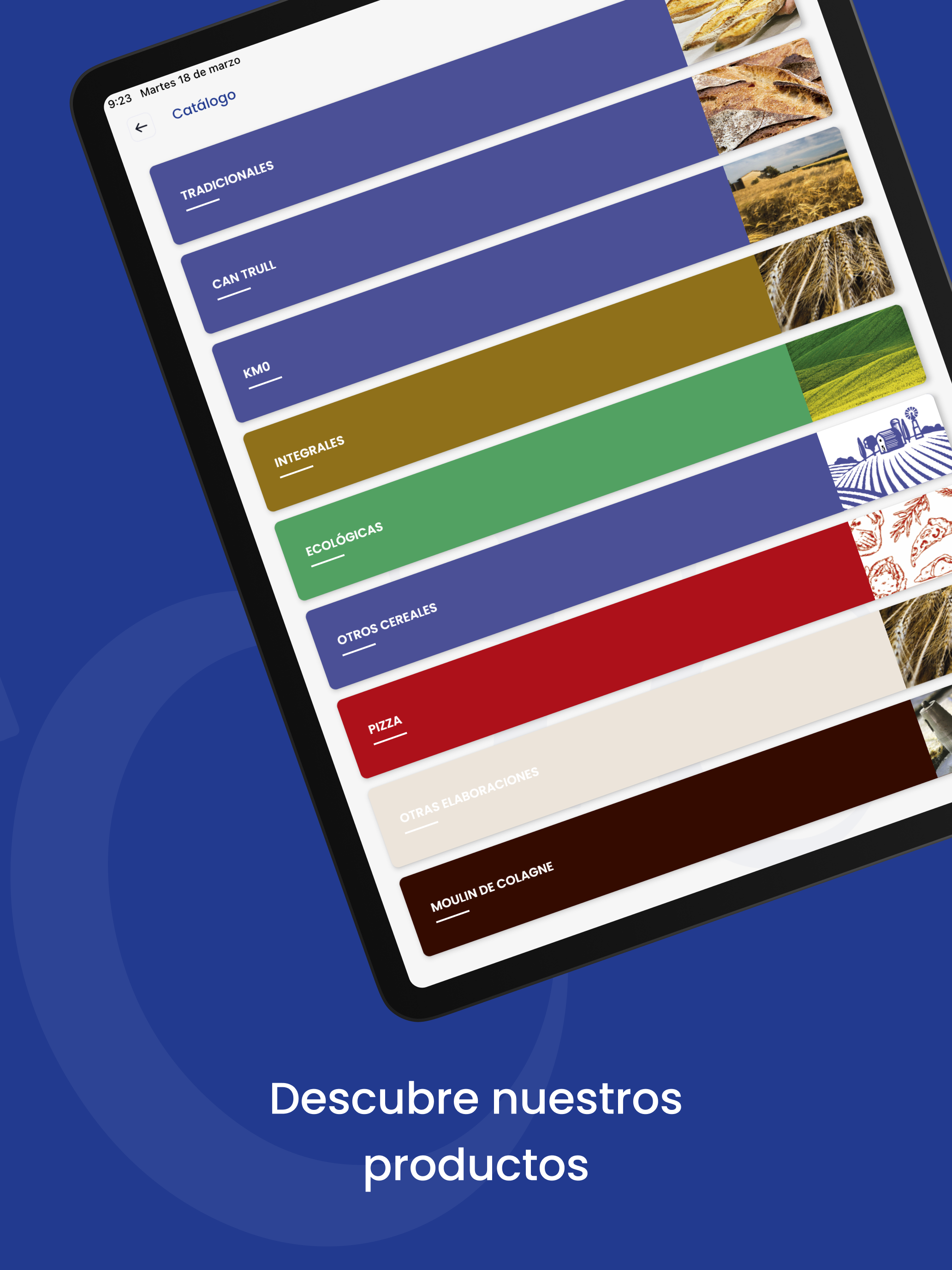 Farinera Coromina screenshot 9