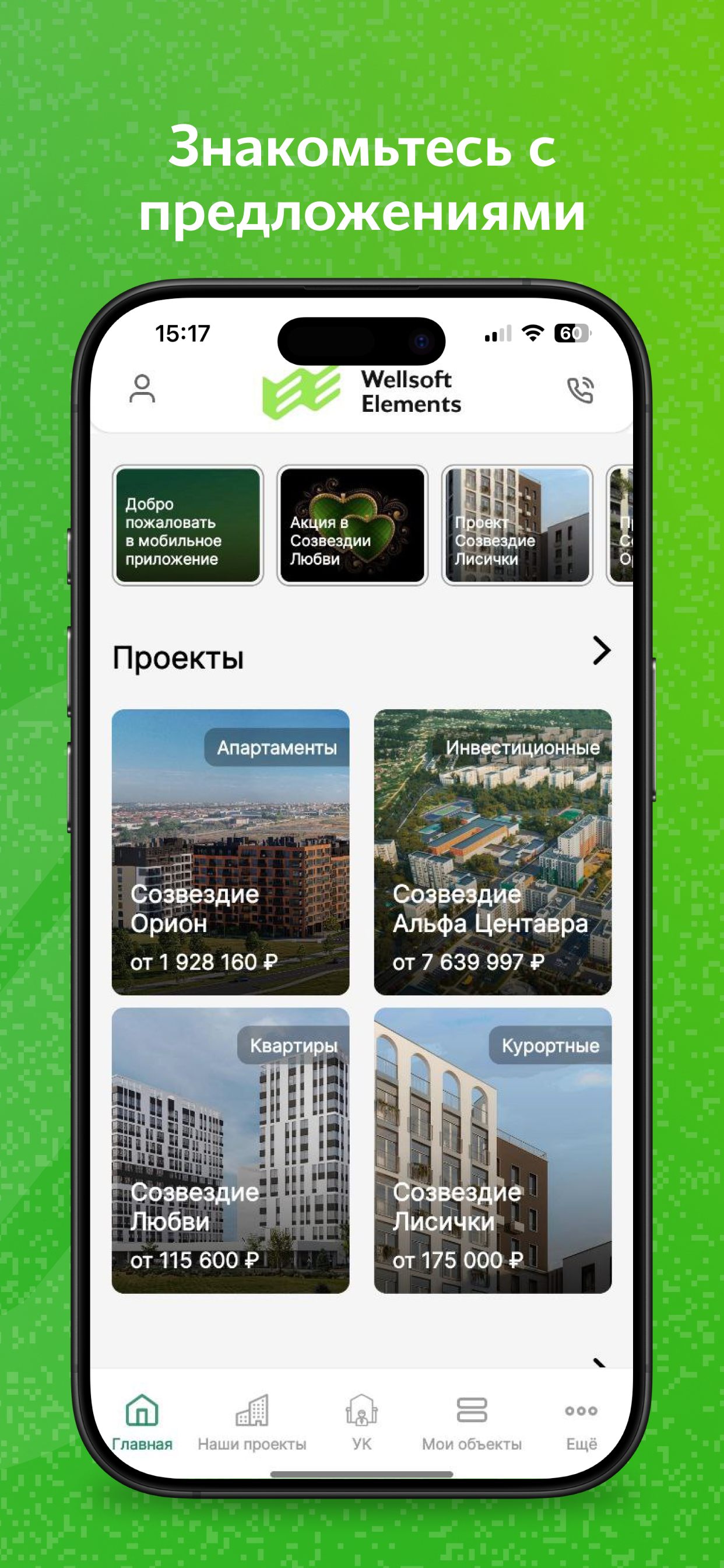Wellsoft Elements Development screenshot 3