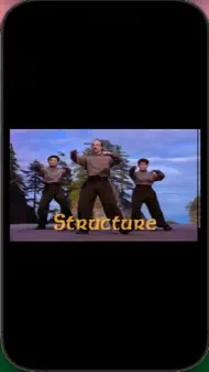 Tai Chi & Qi Gong Workout iphone bilder 3