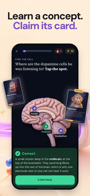 edgi: Swipe to Get Smarter screenshot 1