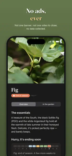 Saison: Seasonal Produce Guide screenshot 4
