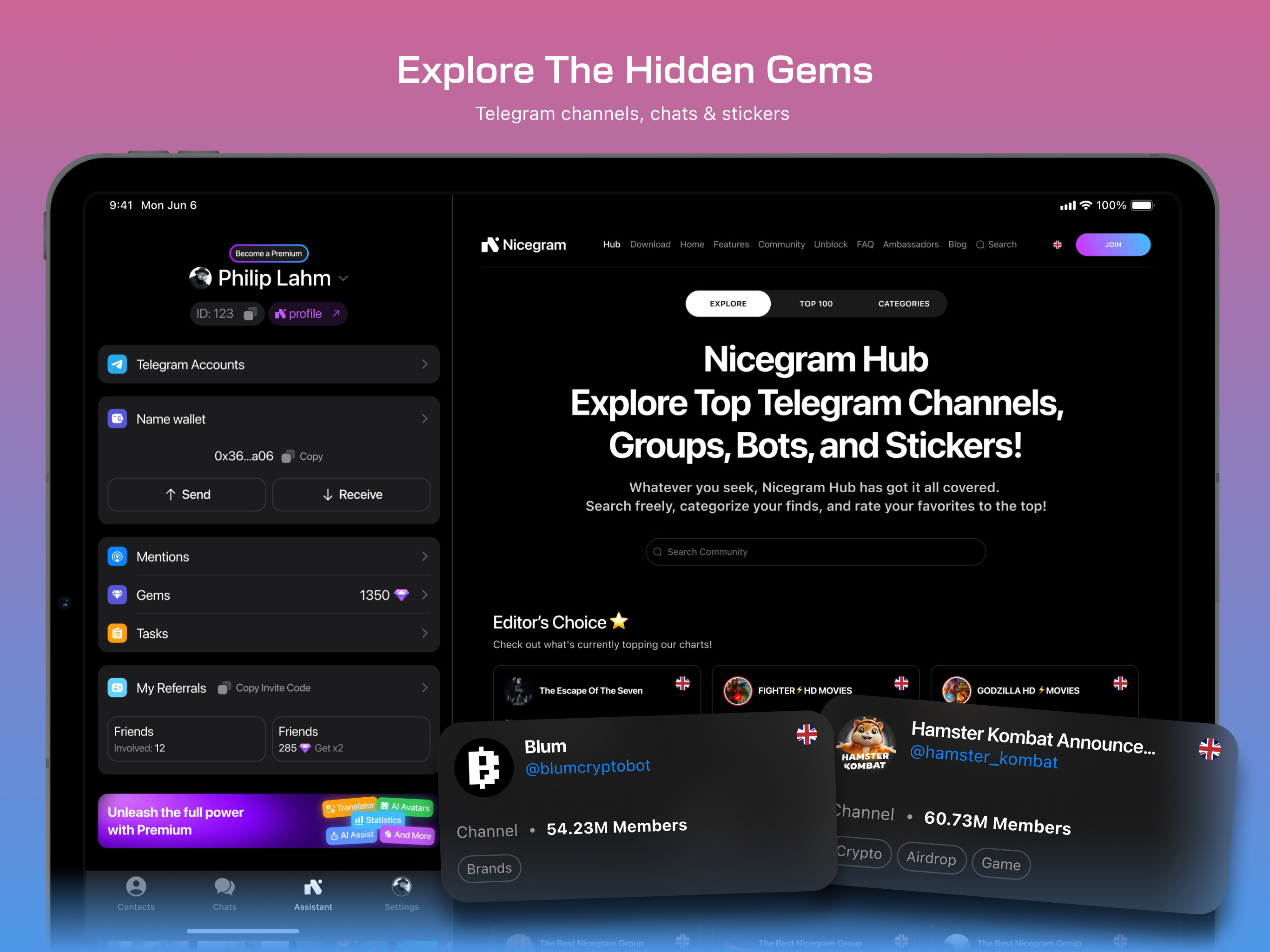 Nicegram: AI x Dual Telegram
