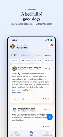 Fudini screenshot