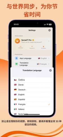 SenseIT: AI视频总结与翻译 screenshot