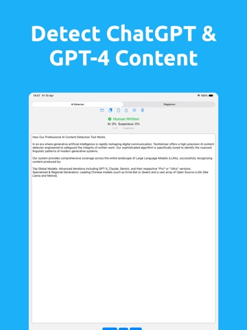 AI & Plagiarism Checker iPad screenshot