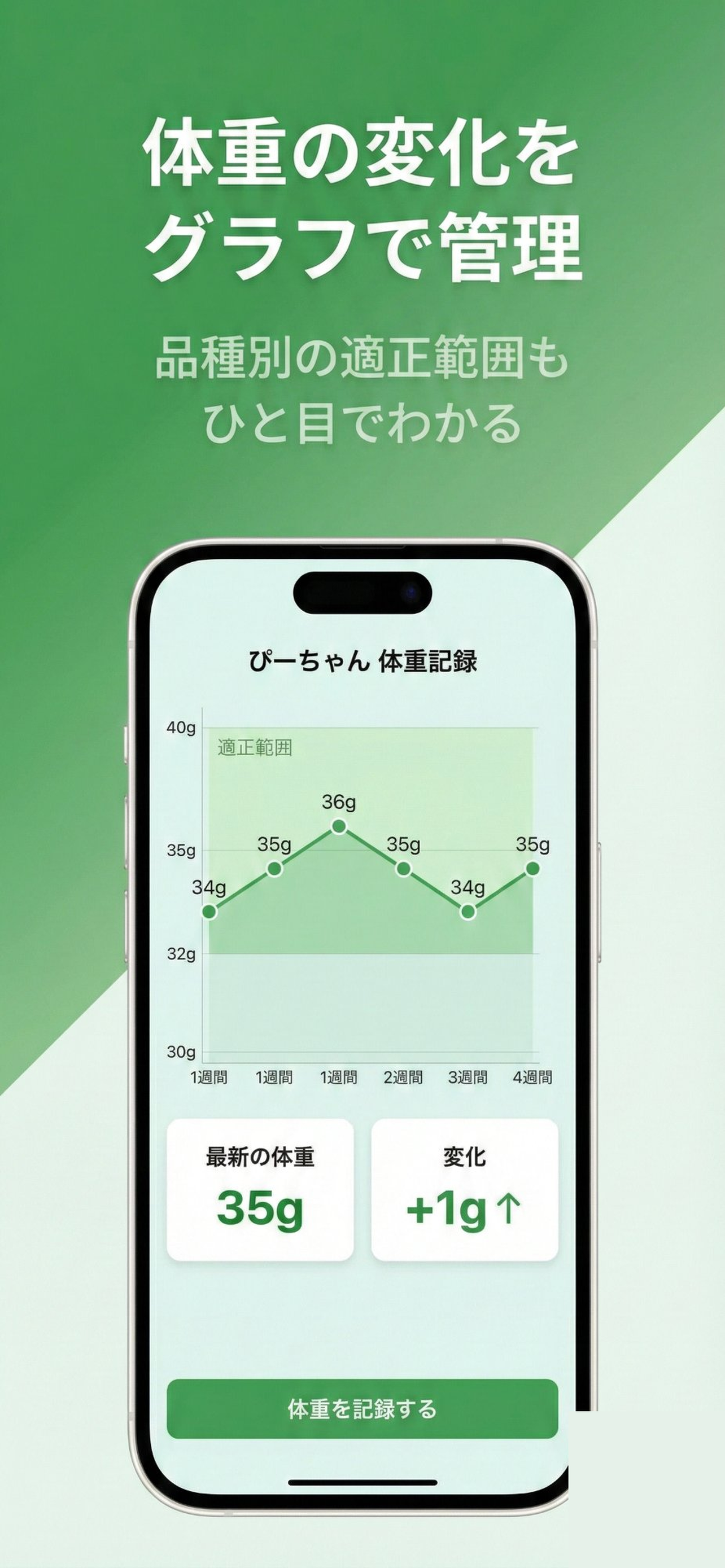 @Aichou -飼い鳥健康診断-