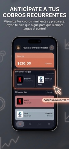 Payno screenshot