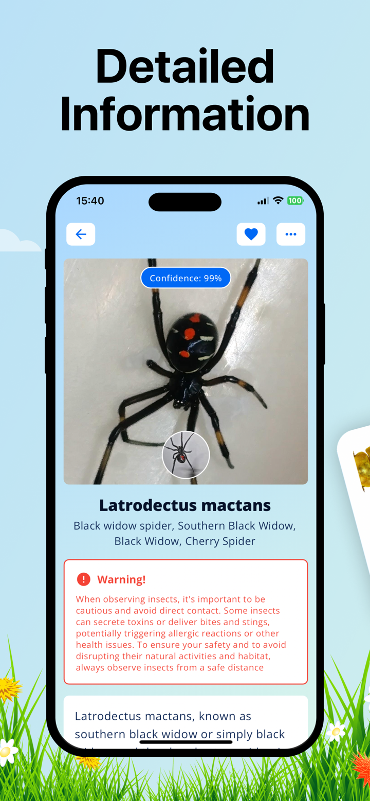 Bug Identifier: Insect ID (AI) screenshot 3